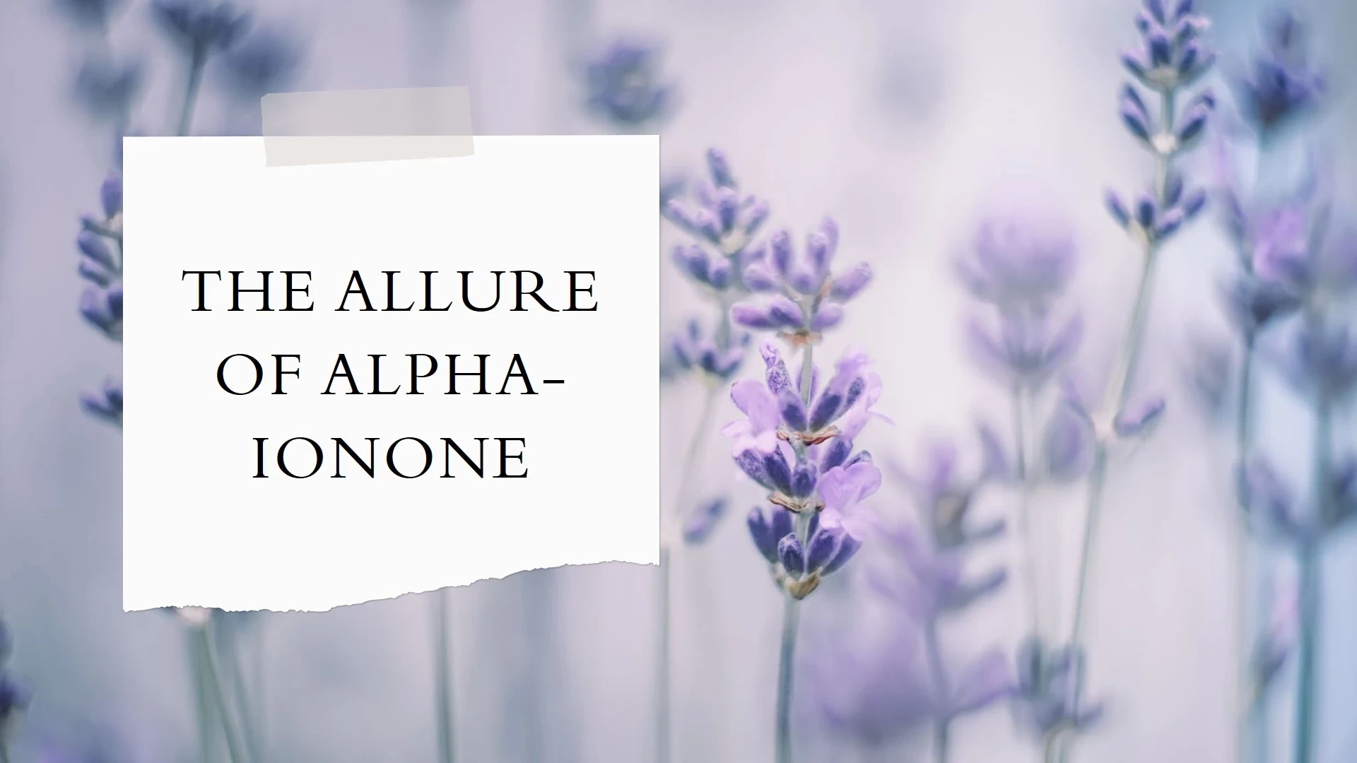 Scent Alpha-Ionone