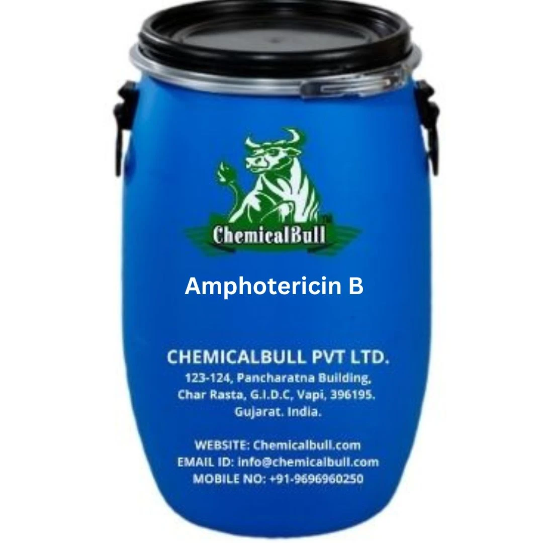 Amphotericin B